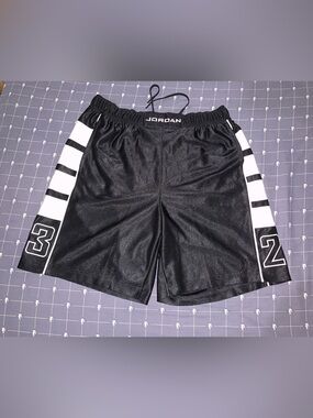Jordan Brooklyn Cat Scratch Men's Shorts HV0560-011 Size: Large